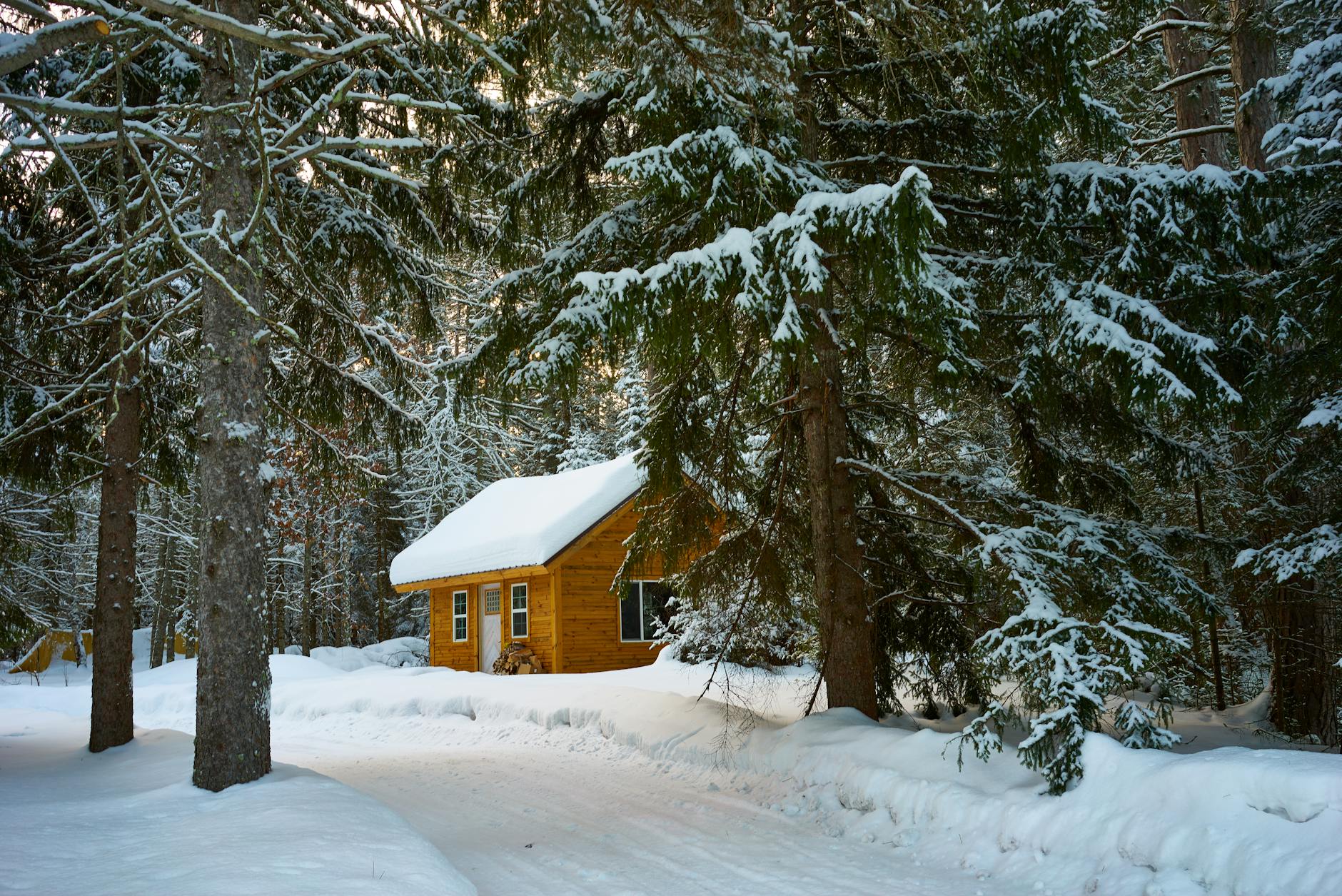 Charming winter cabin nestled among snowy evergreens in Duluth, MN.