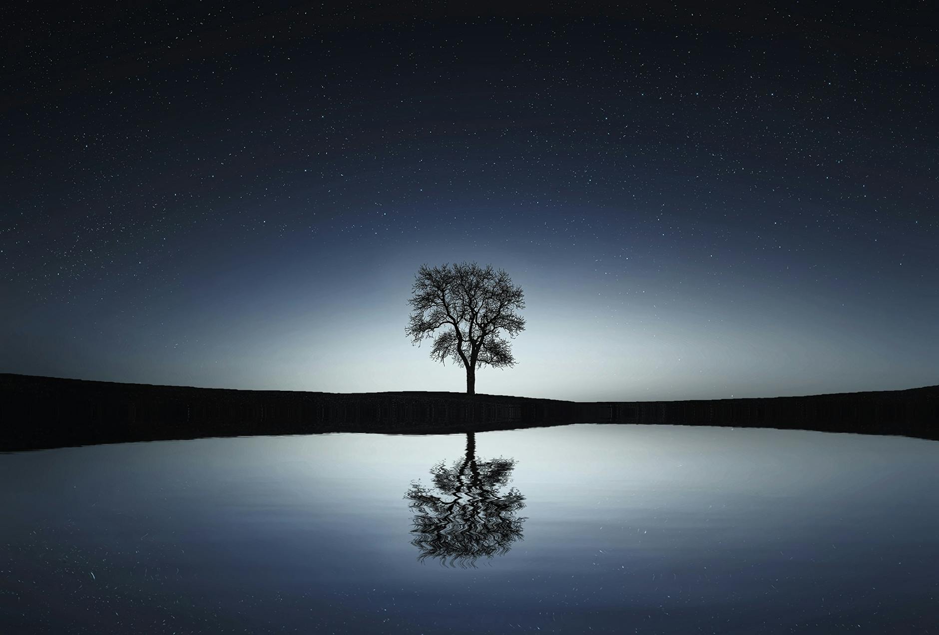 A solitary tree reflects in a tranquil lake under a starry night sky, creating a serene landscape. A solitary tree reflects in a tranquil lake under a starry night sky, creating a serene landscape.
