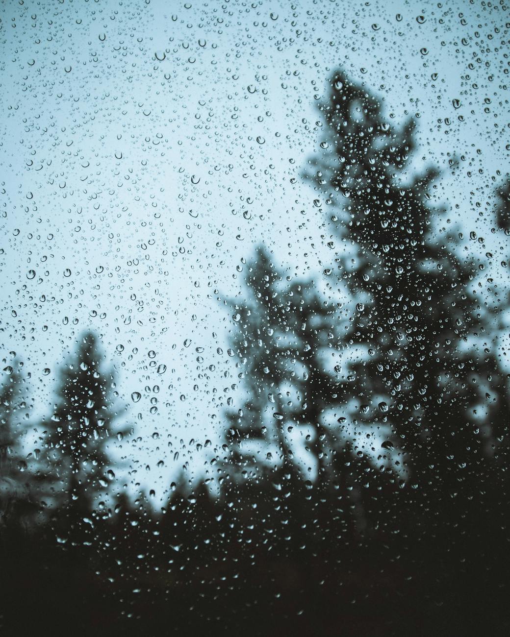 Raindrops on a window with pine tree silhouettes creating a serene and moody scene. Raindrops on a window with pine tree silhouettes creating a serene and moody scene.