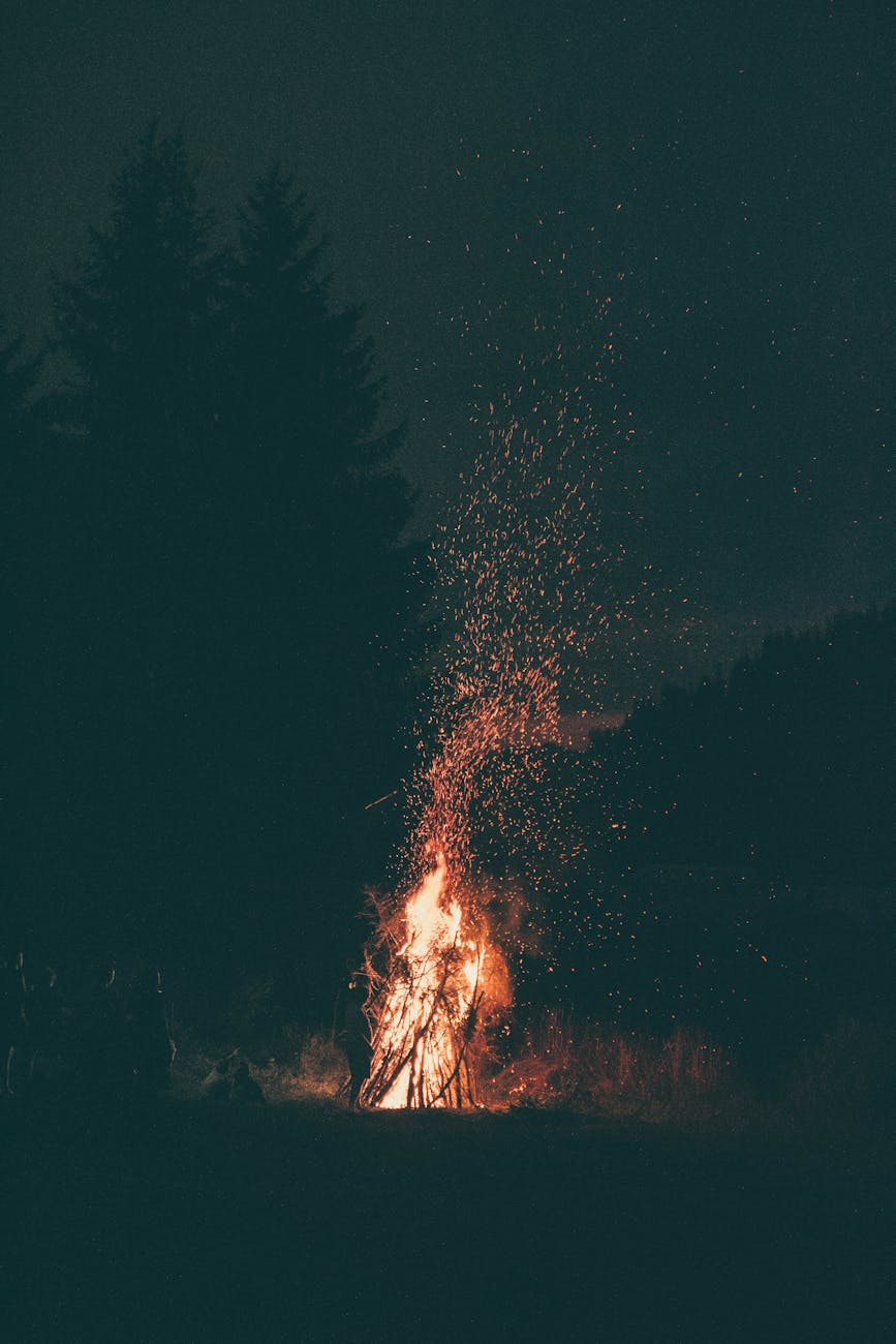 A serene campfire crackling under a starry night sky surrounded by forest. A serene campfire crackling under a starry night sky surrounded by forest.