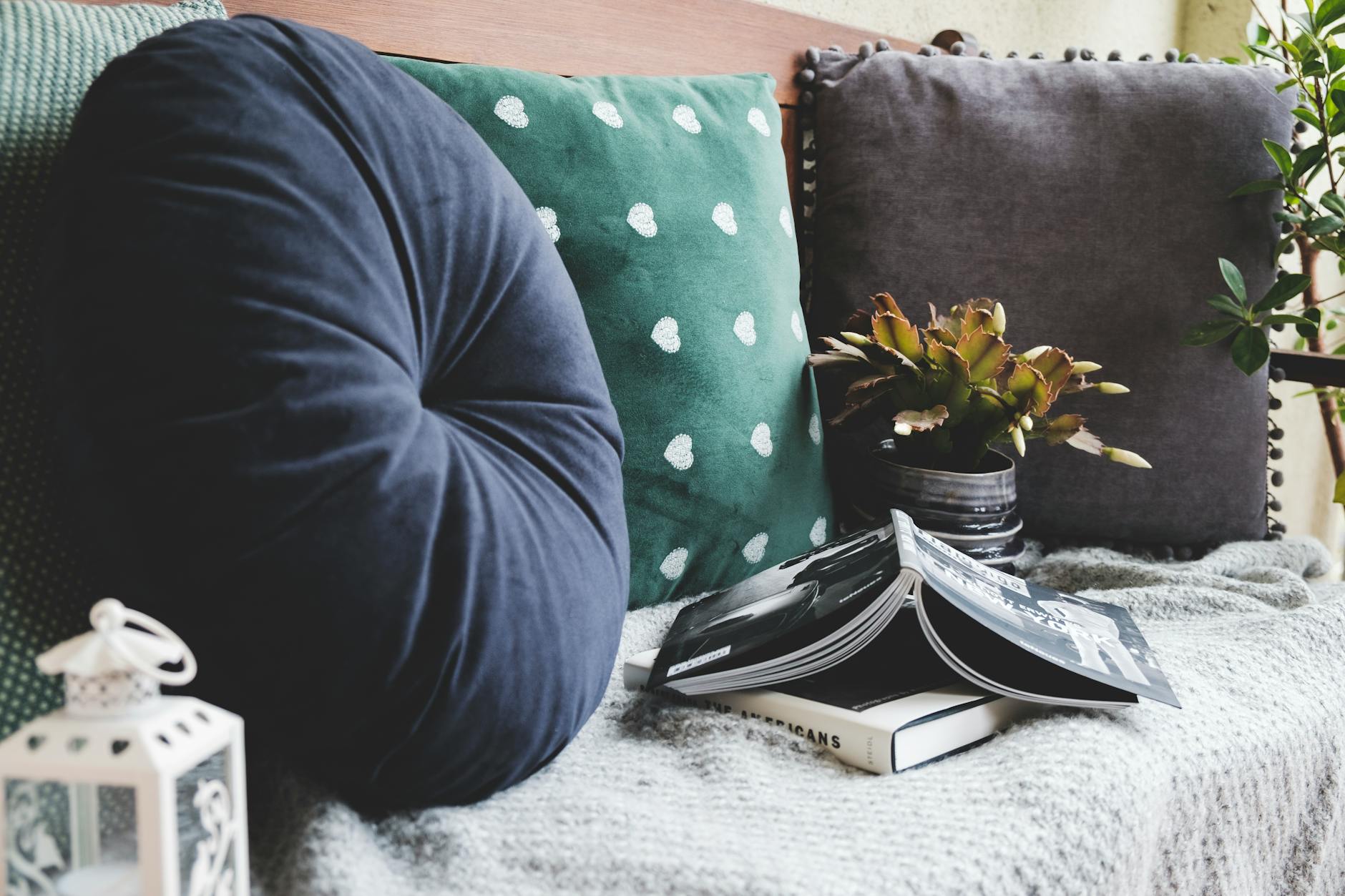 Inviting seating area with round and square cushions, book, and plant in natural light. Inviting seating area with round and square cushions, book, and plant in natural light.