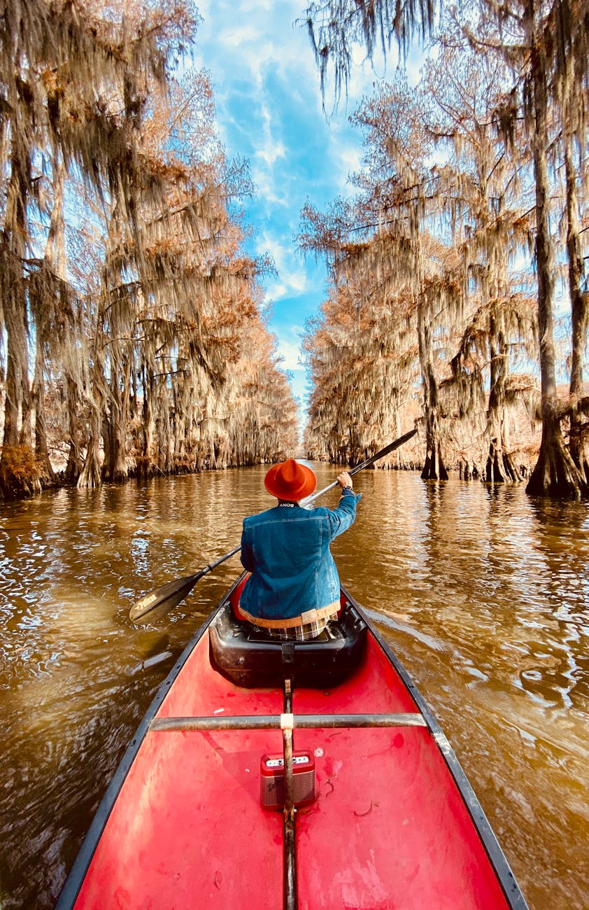 Person paddling a red canoe through the captivating autumn cypress trees of Karnack, Texas. Person paddling a red canoe through the captivating autumn cypress trees of Karnack, Texas.