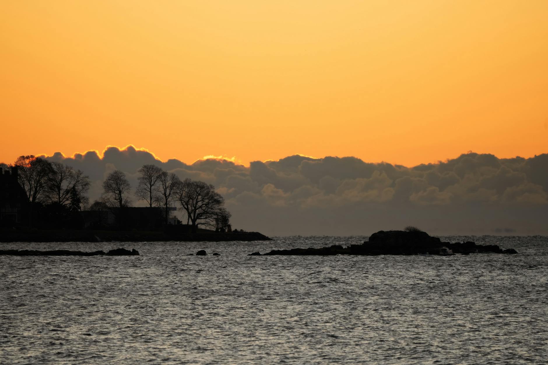 A tranquil seaside view during sunset with silhouetted trees against an orange sky. A tranquil seaside view during sunset with silhouetted trees against an orange sky.