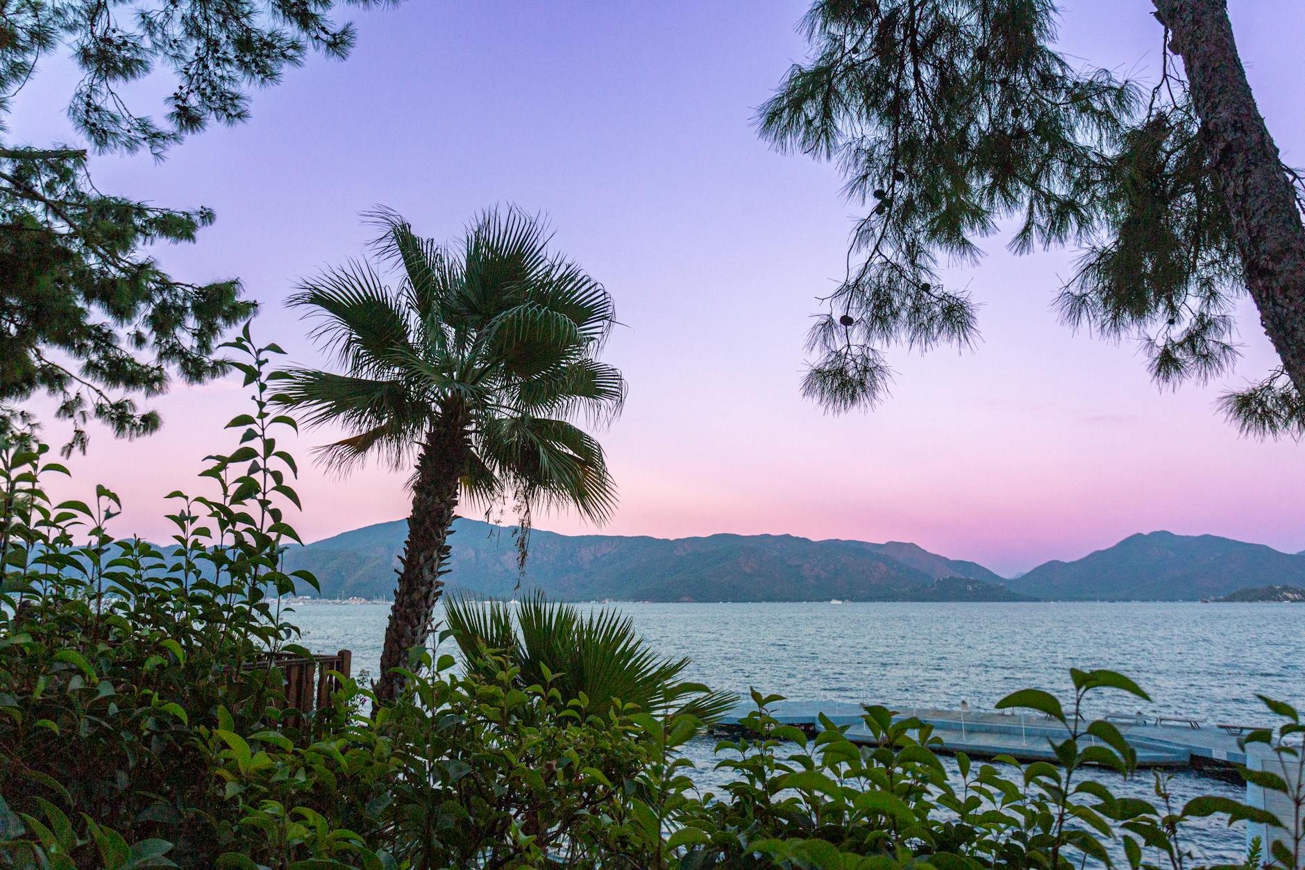 Peaceful view of tropical palm trees by the sea with a colorful sunset sky.