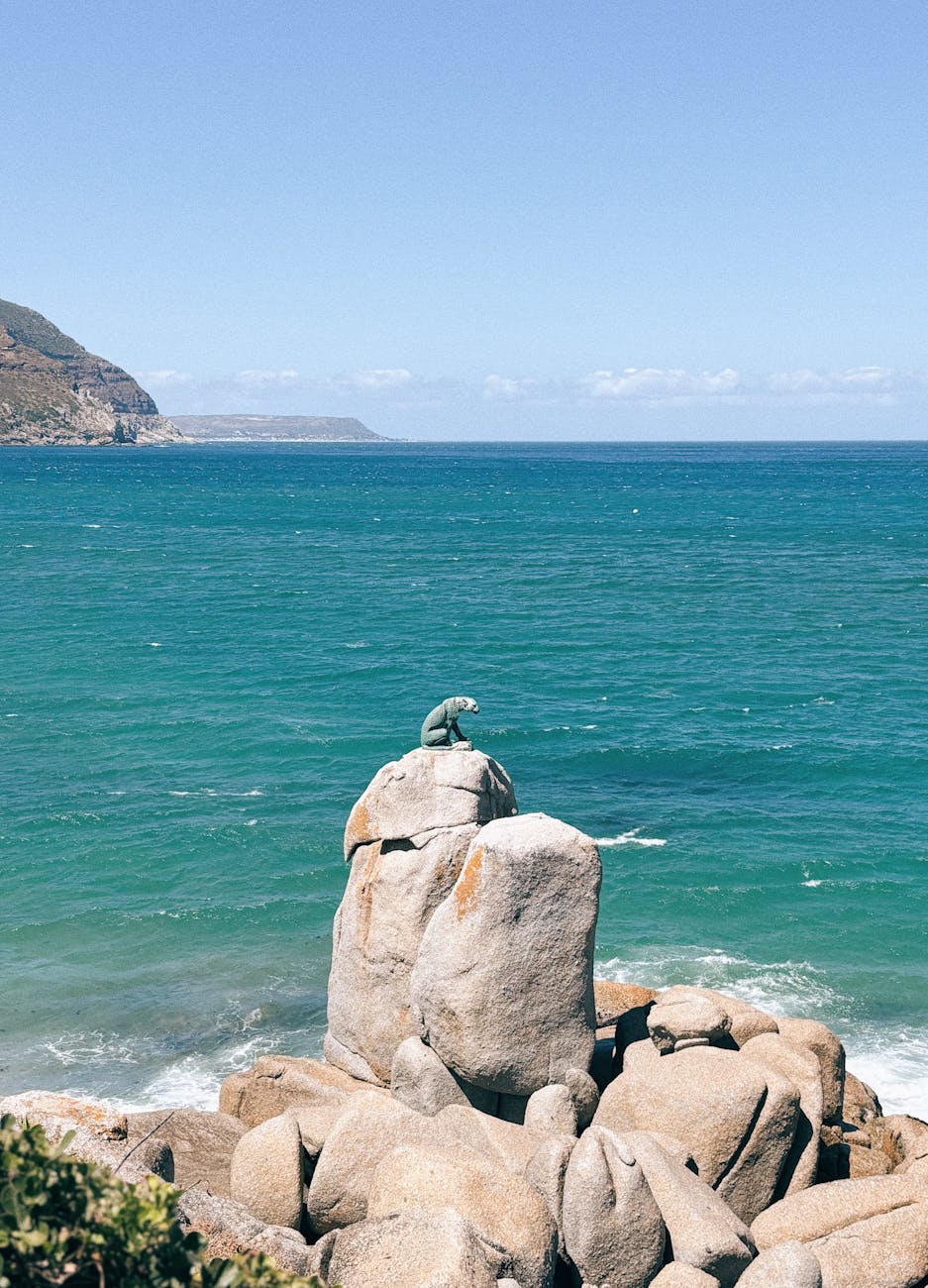 Leopard on the rocks
