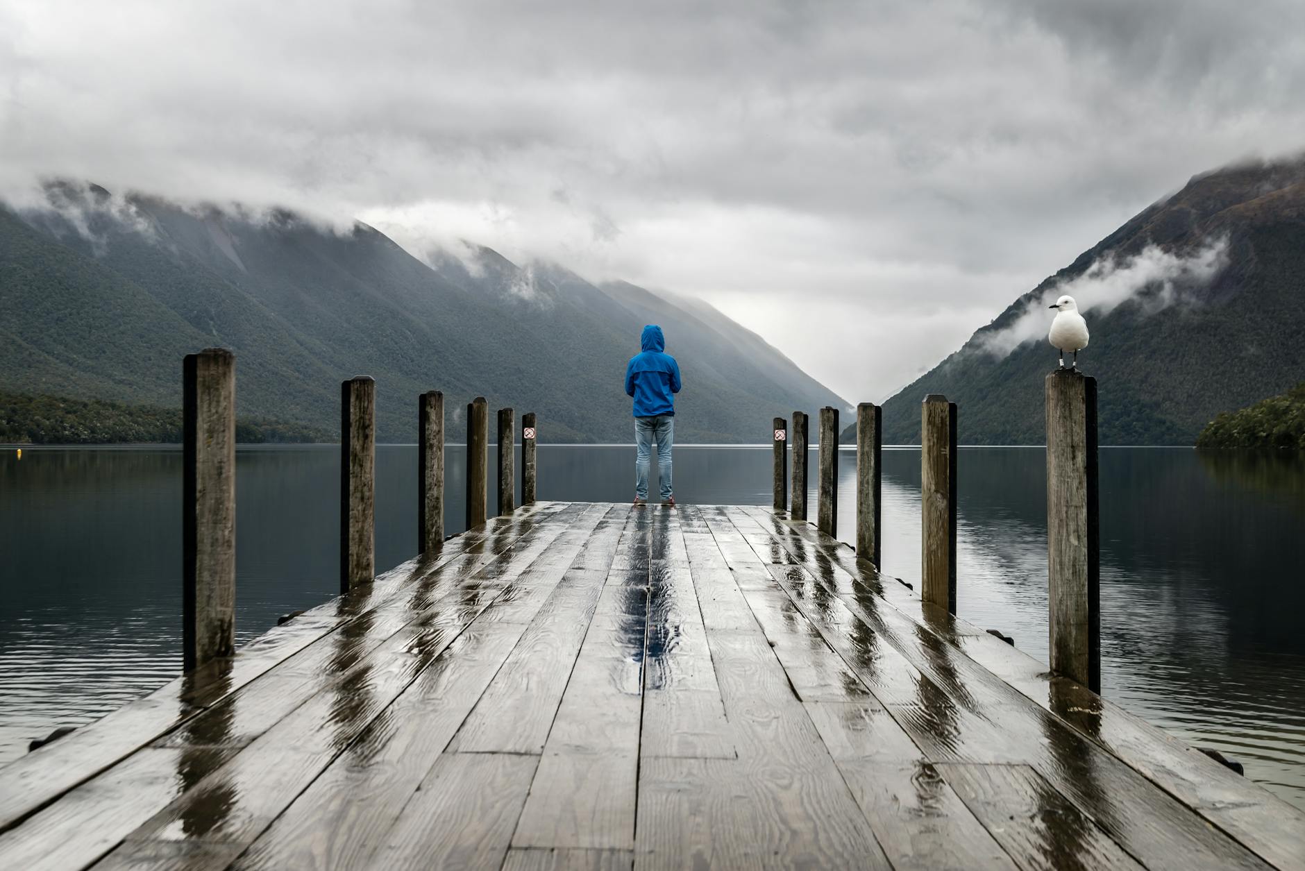 Person in blue jacket stands on a rainy dock overlooking serene lake and mountains. Person in blue jacket stands on a rainy dock overlooking serene lake and mountains.